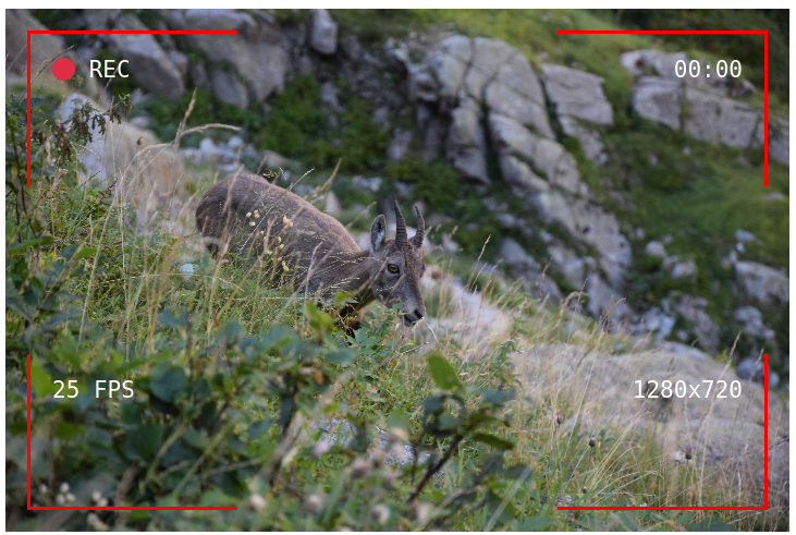 Overlay with misaligned text